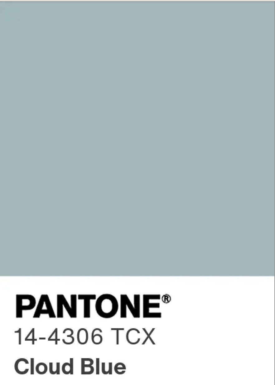 トーン 2022 Pale Grey 